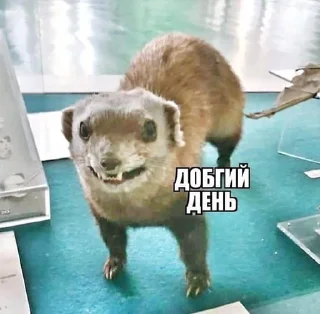 😬