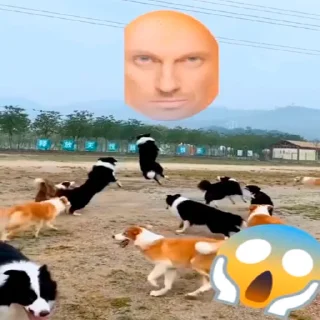 🥚