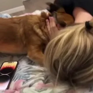 🌟