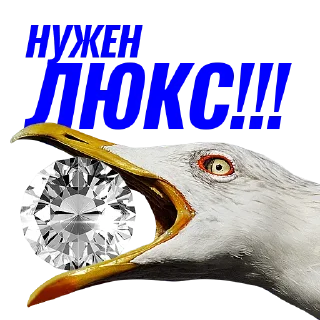💎