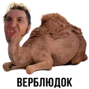 🐪