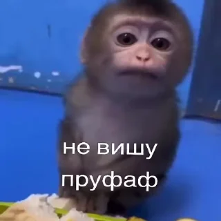 🗒