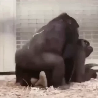 😘