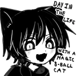 🐈‍⬛