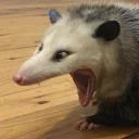 😱
