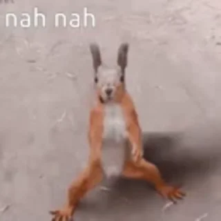 😁