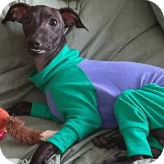 👍