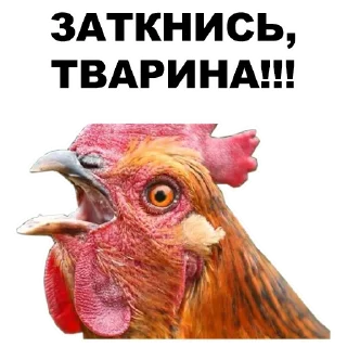 👇