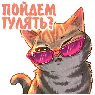 😎