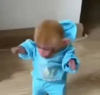 🌟