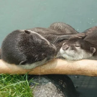 🤗