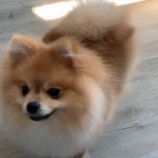 🤩