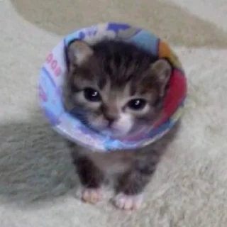 😠