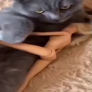 🔞