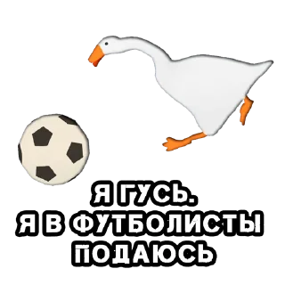 ⚽️