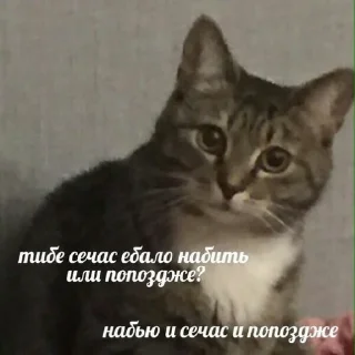 🤠