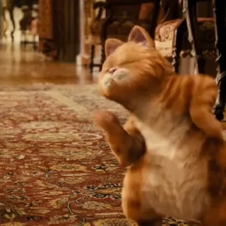 🕺