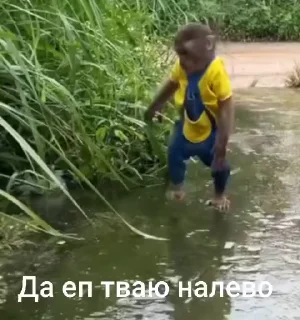 🌟