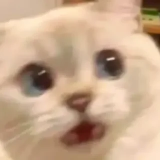 😮