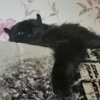 😒
