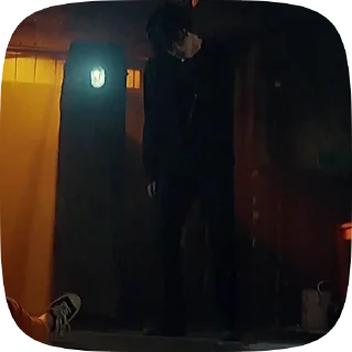 🌟