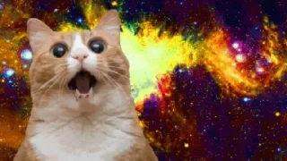 Pizzacat @stickersb2b
