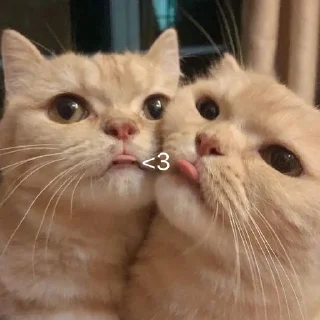 ❤️