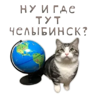 🌎