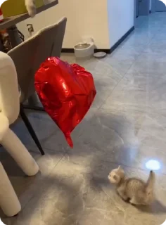 🌟