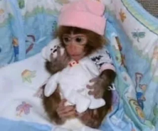 🧸