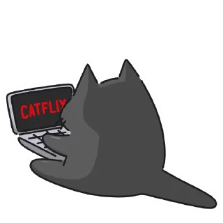 💻