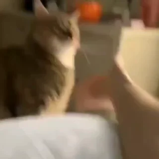 😳