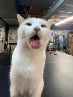 😝