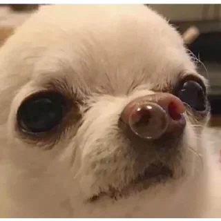 🤣