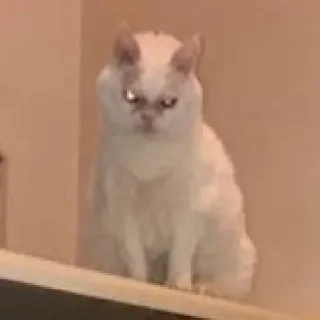 🤬