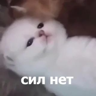 😒