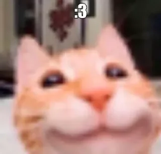 🤪