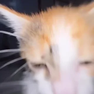 😵‍💫