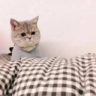 😐