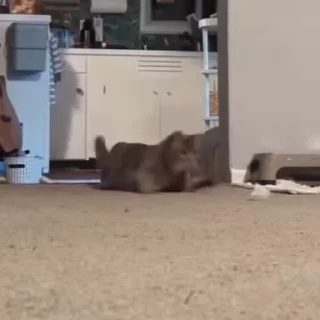 😳
