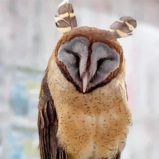 🙂