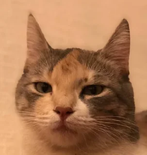 😐