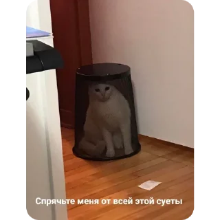 🙆‍♀