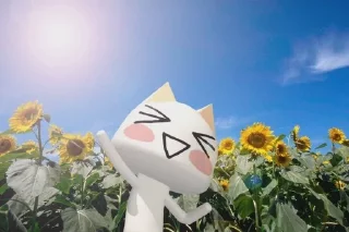 🌻