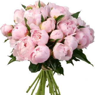 💐