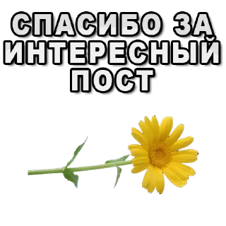 🙏