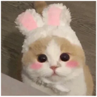 💕