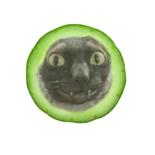 🥒
