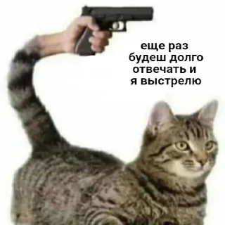 @StickersFuck1
