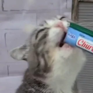 😛